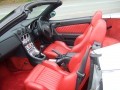 Alfa Romeo GTV Spider Lusso
