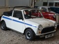 Mini Daly Runabout