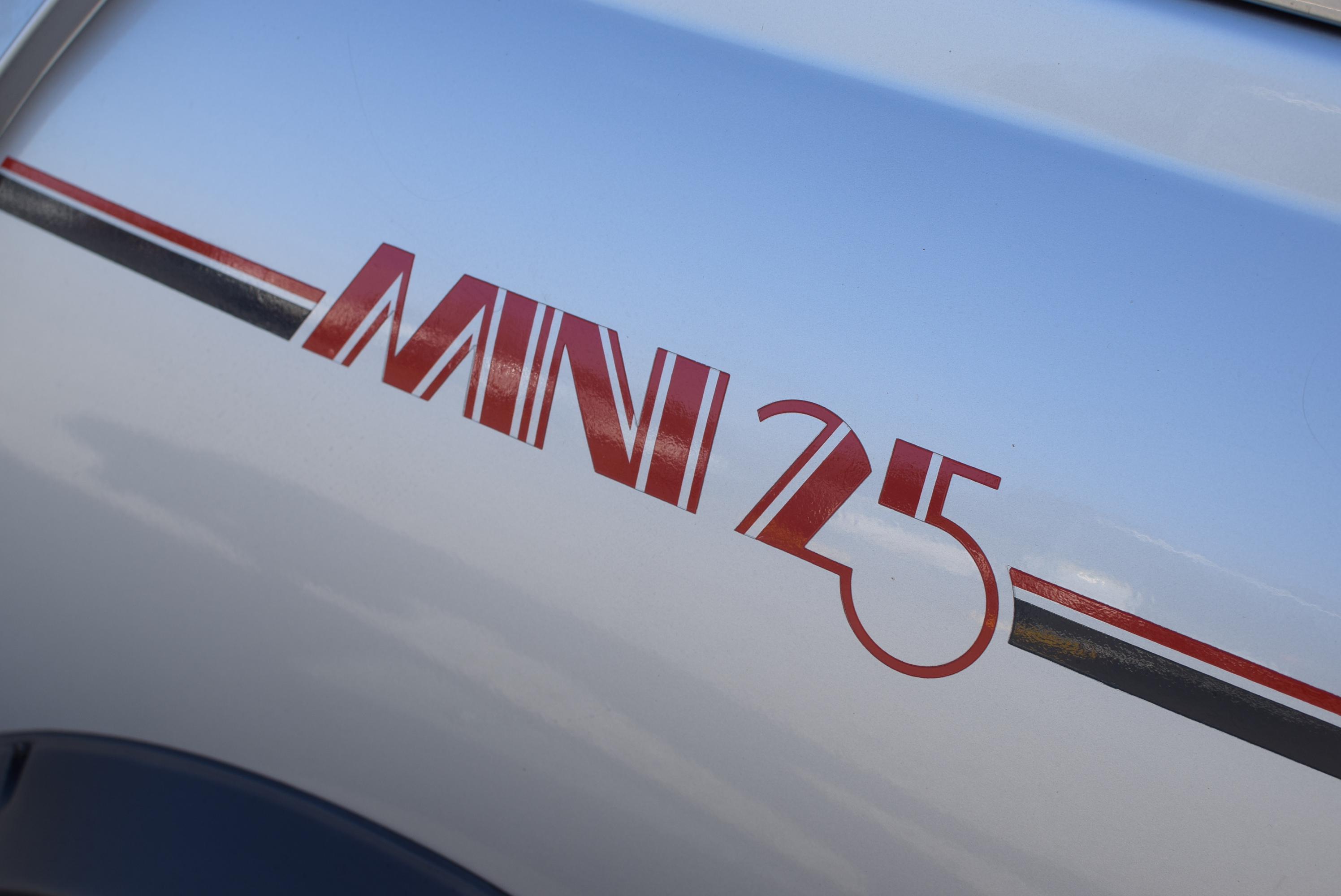 Mini 25 