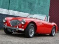 Austin-Healey 100/4 BN1 Two-seater