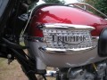 Triumph TR6SS 650