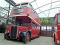 AEC Regent III RT