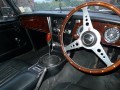 Austin-Healey 3000 MkIII