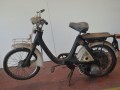 Honda P50