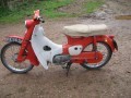 Honda C100 Cub