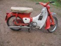 Honda C100 Cub